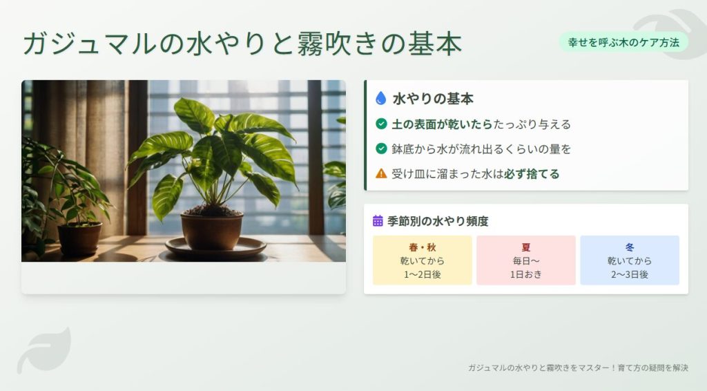 ガジュマルの水やりと霧吹きの基本を知ろう