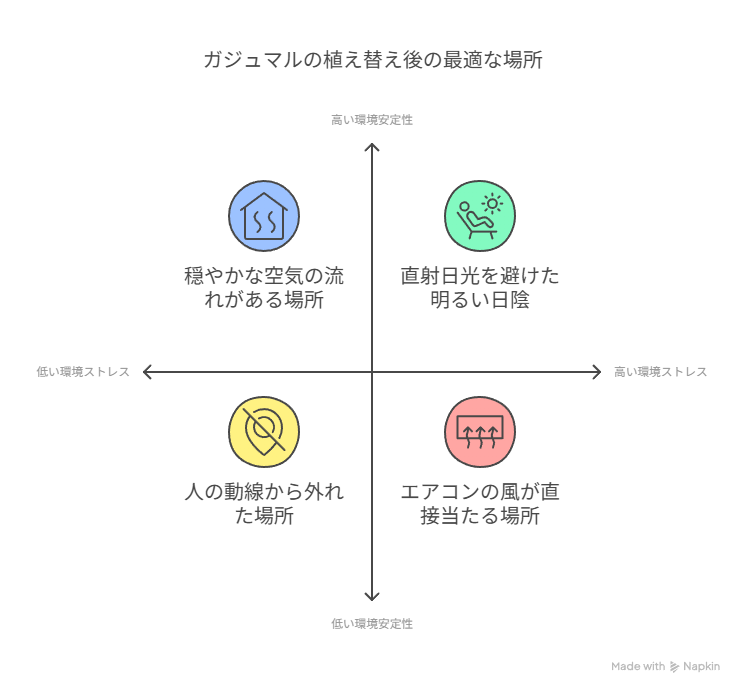 ガジュマルの植え替え後の最適な場所をまとめてある
