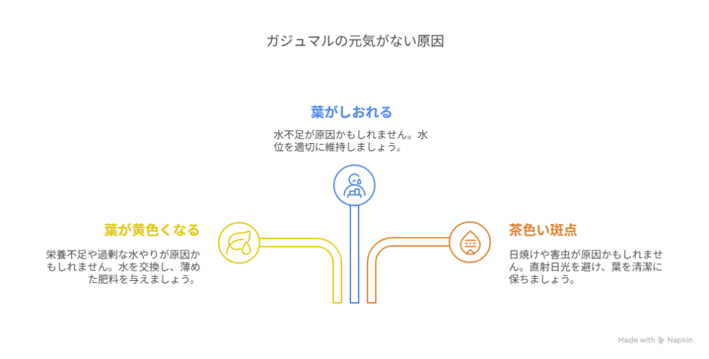 ガジュマルが元気がないときの原因と対処法