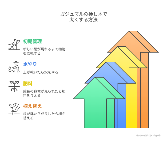 ガジュマルの挿し木で太くする方法