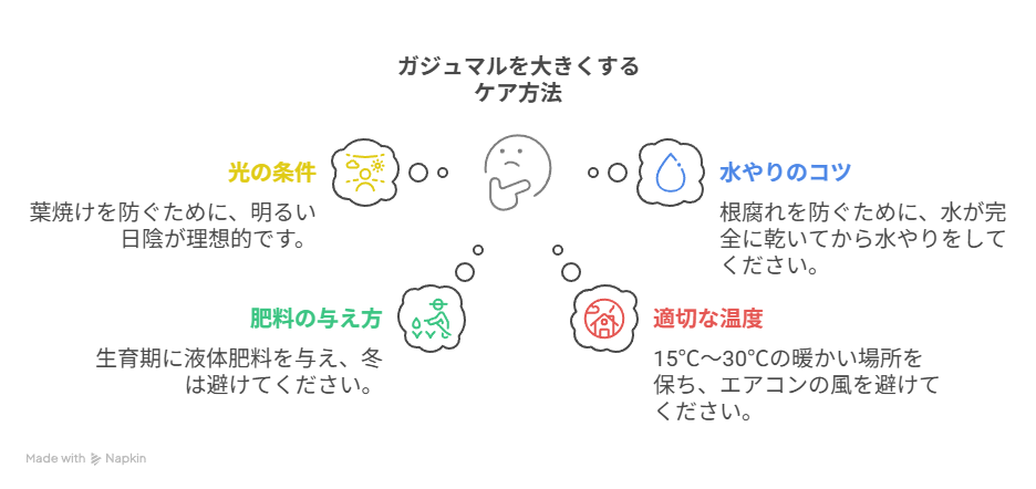 ガジュマルを大きくするケア方法をまとめてある